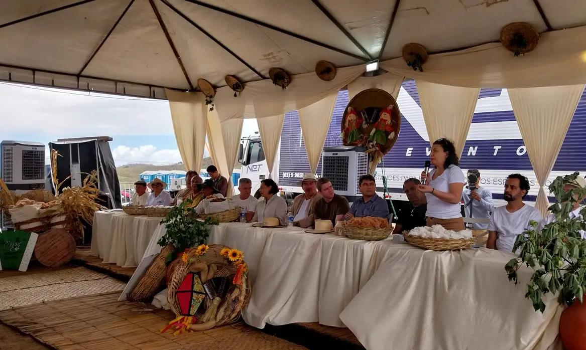 Produtores colhem algodão orgânico na Paraíba